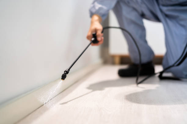 Licensed Pest Control service in Baywood Park, CA - Show Me Pest Control